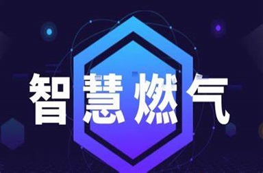 智慧燃气管控一体化平台